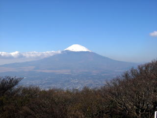 金時山より