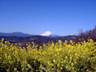 吾妻山より
